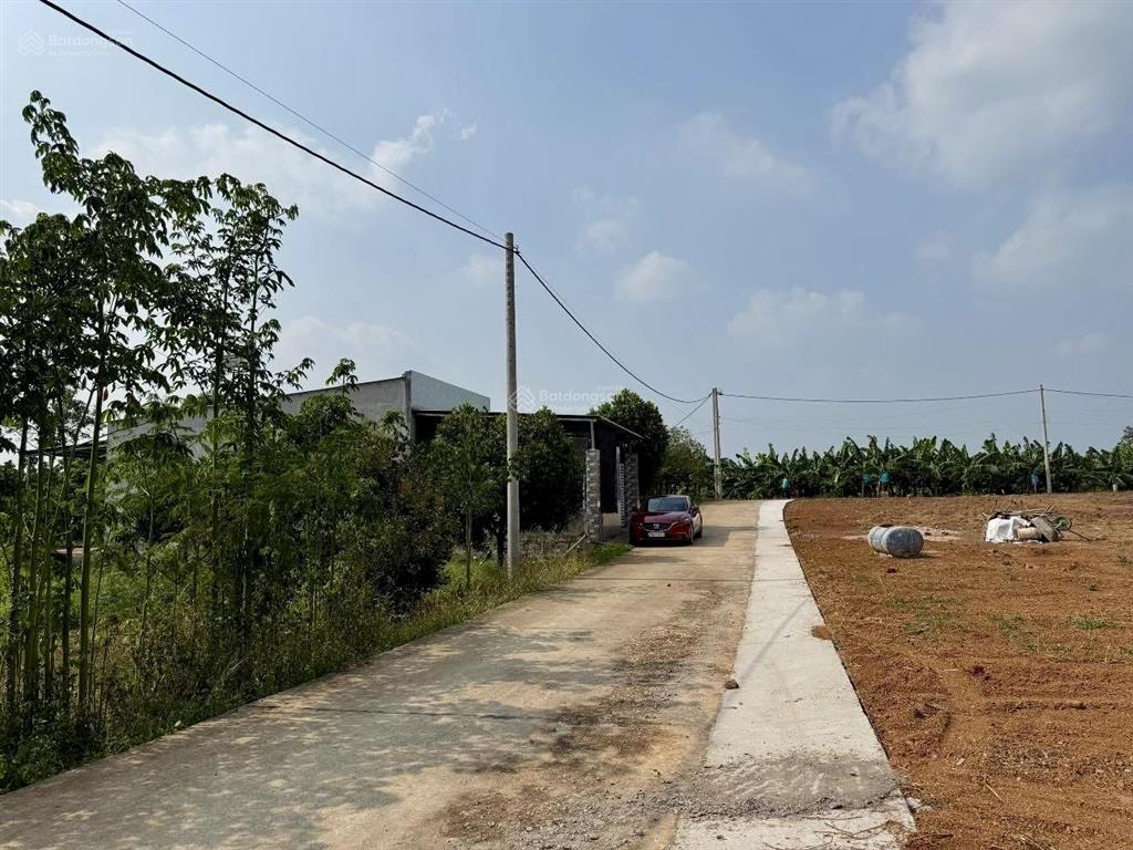 Đất 5x31m láng lớn, gần chợ, trường học, chỉ 480 triệu