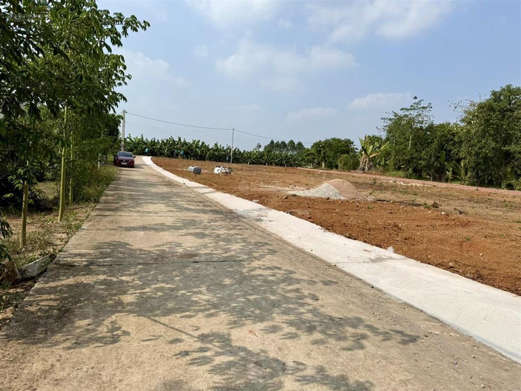 Đất 5x31m láng lớn, gần chợ, trường học, chỉ 480 triệu