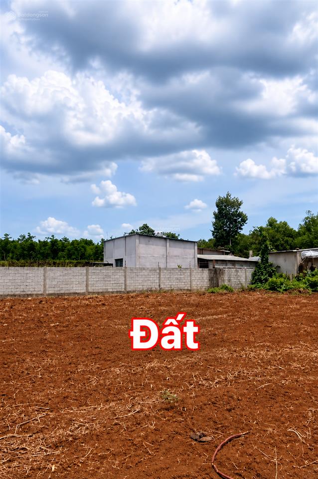 Cắt lỗ đất 1.012m2 ngang 35m từ 2,5 tỷ nay chỉ còn 1,95 tỷ