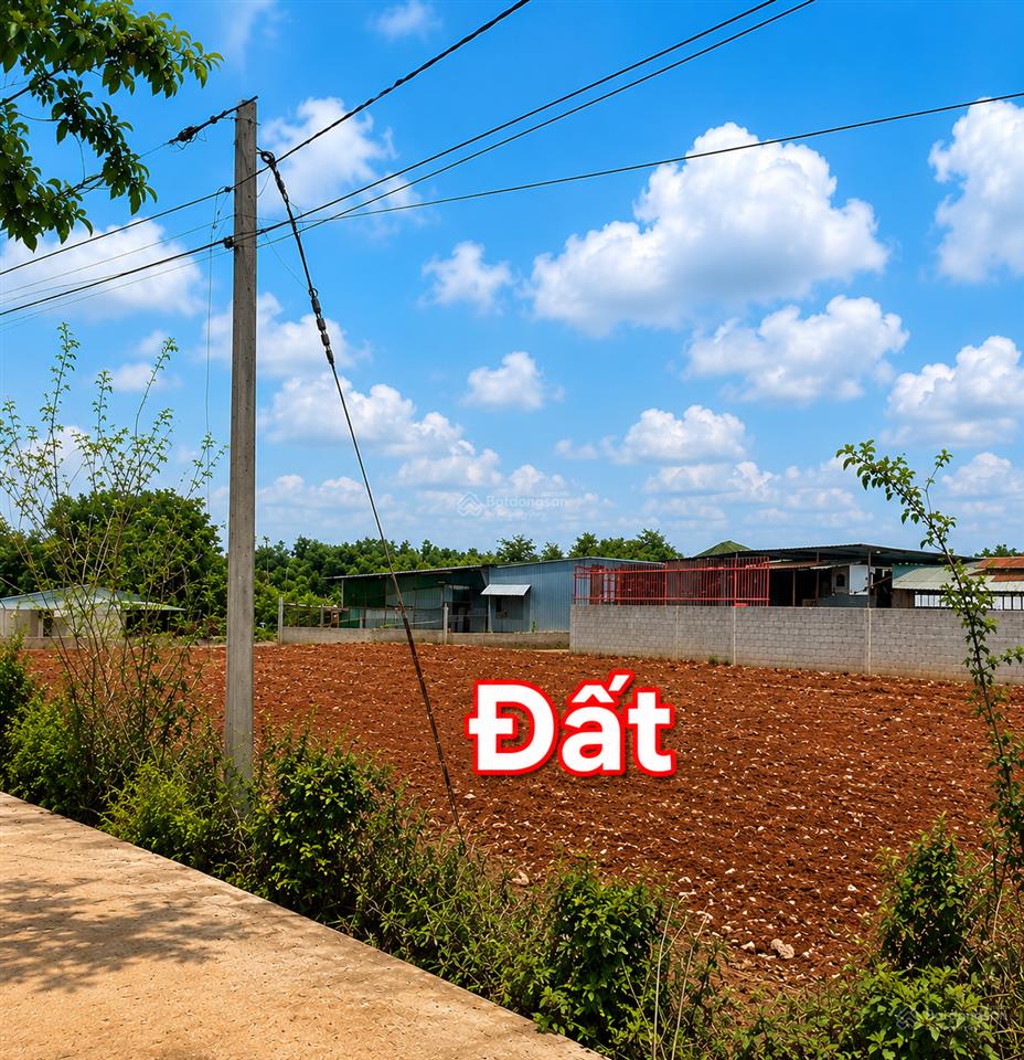 Cắt lỗ đất 1.012m2 ngang 35m từ 2,5 tỷ nay chỉ còn 1,95 tỷ