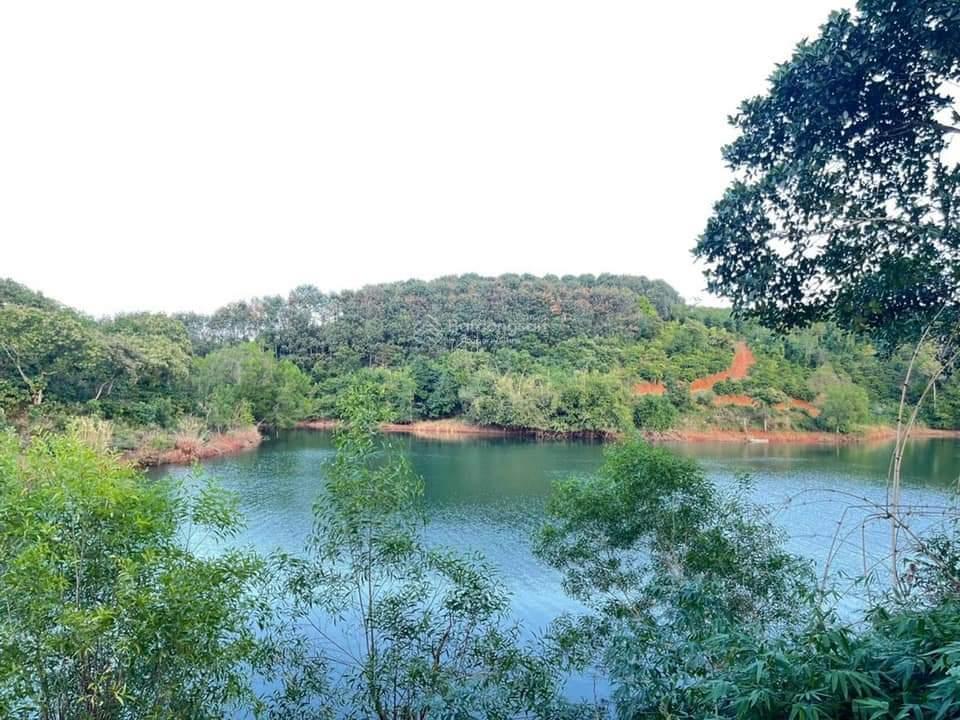 Bán đất đẹp, nguồn thu ổn định tại xã nhân cơ, đắk r'lấp, đắk nông, 2,1 tỷ