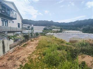 Đất biệt thự view rừng thông đà lạt  1213m2  giá 42 tỷ mặt tiền đường triệu việt vương, tuyền lâm