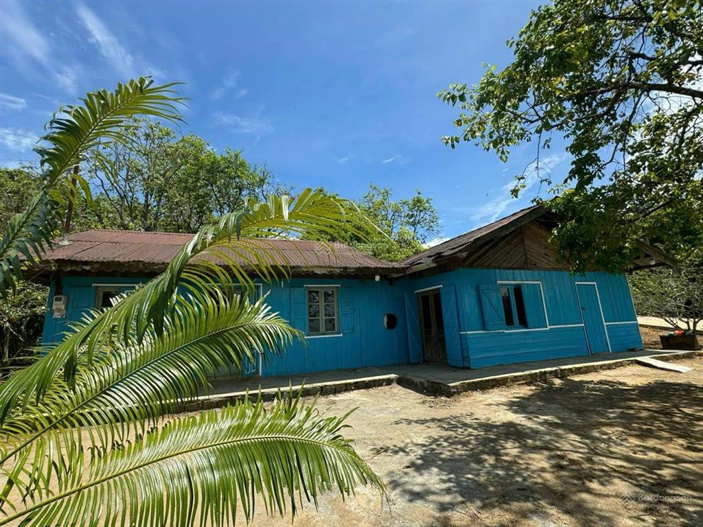 Bán đất view quạt gió trạm hành  xuân thọ  đà lạt  giá  18 tỷ, 4500 m2, có 400 thổ cư