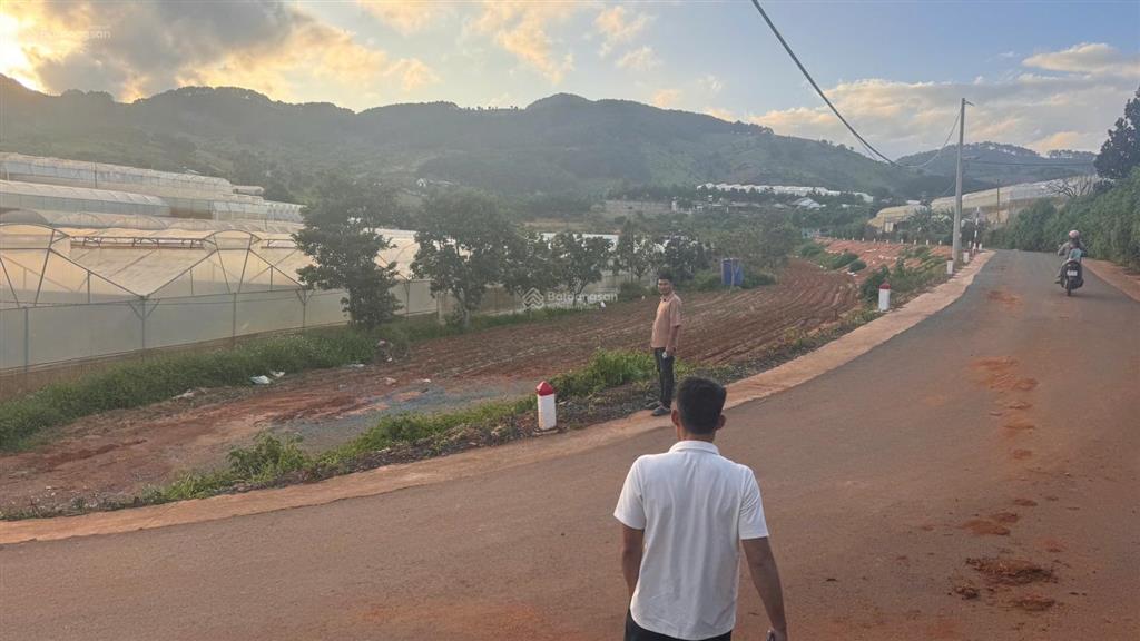 Bán đất biệt thự phường cam ly  tà nung, 292 m2, giá  4,4 tỷ , full thổ  pháp lý đầy đủ .