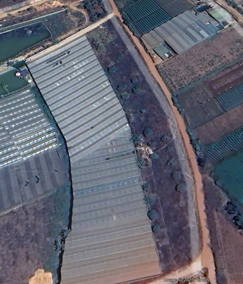 Bán đất biệt thự phường cam ly  tà nung, 292 m2, giá  4,4 tỷ , full thổ  pháp lý đầy đủ .