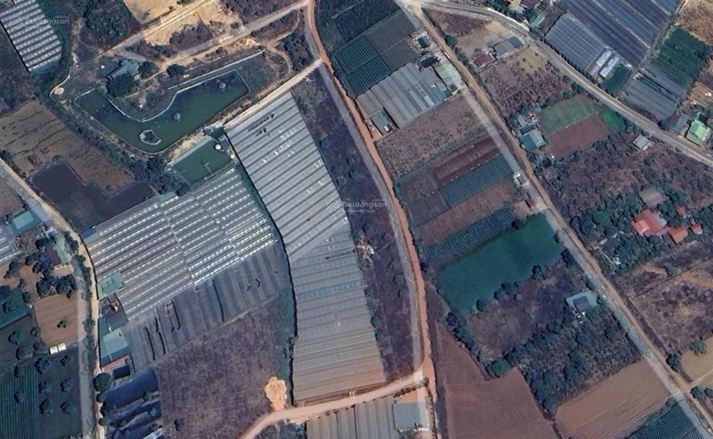Bán đất biệt thự phường cam ly  tà nung, 292 m2, giá  4,4 tỷ , full thổ  pháp lý đầy đủ .
