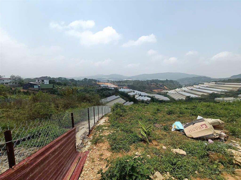 Đất biệt thự đồi măng lin view hồ thế đất hiếm, dt 978m2  giá 9,8 tỷ, sổ riêng nông nghiệp