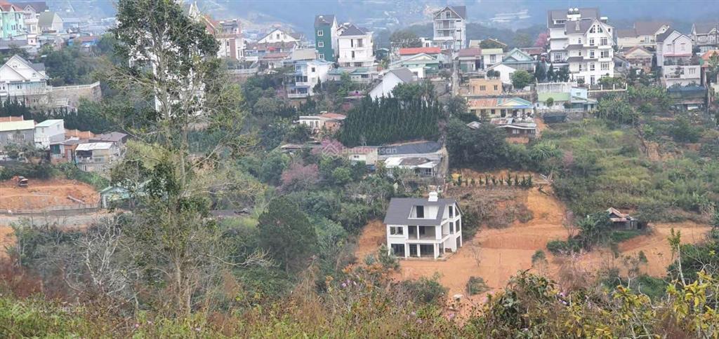 Kẹt quá đại hạ giá! quỹ đất 8.000m2 khe sanh đà lạt gía 38 tỷ