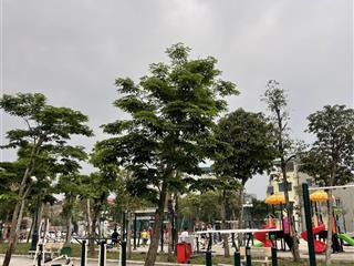 51 m. lô góc 3 mặt thoáng, nhuế xã thiên lộc trước đất chải nhựa asphalt giá 4 tỷ nhỏ