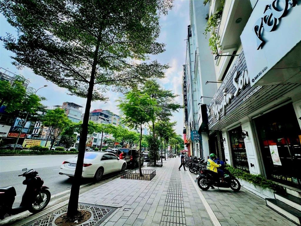 Mặt phố xã đàn  đống đa  45m2  5t  7m mặt tiền  thoáng trước sau  kinh doanh  45 tỷ
