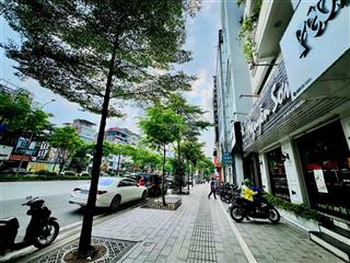Mặt phố xã đàn  đống đa  45m2  5t  7m mặt tiền  thoáng trước sau  kinh doanh  45 tỷ
