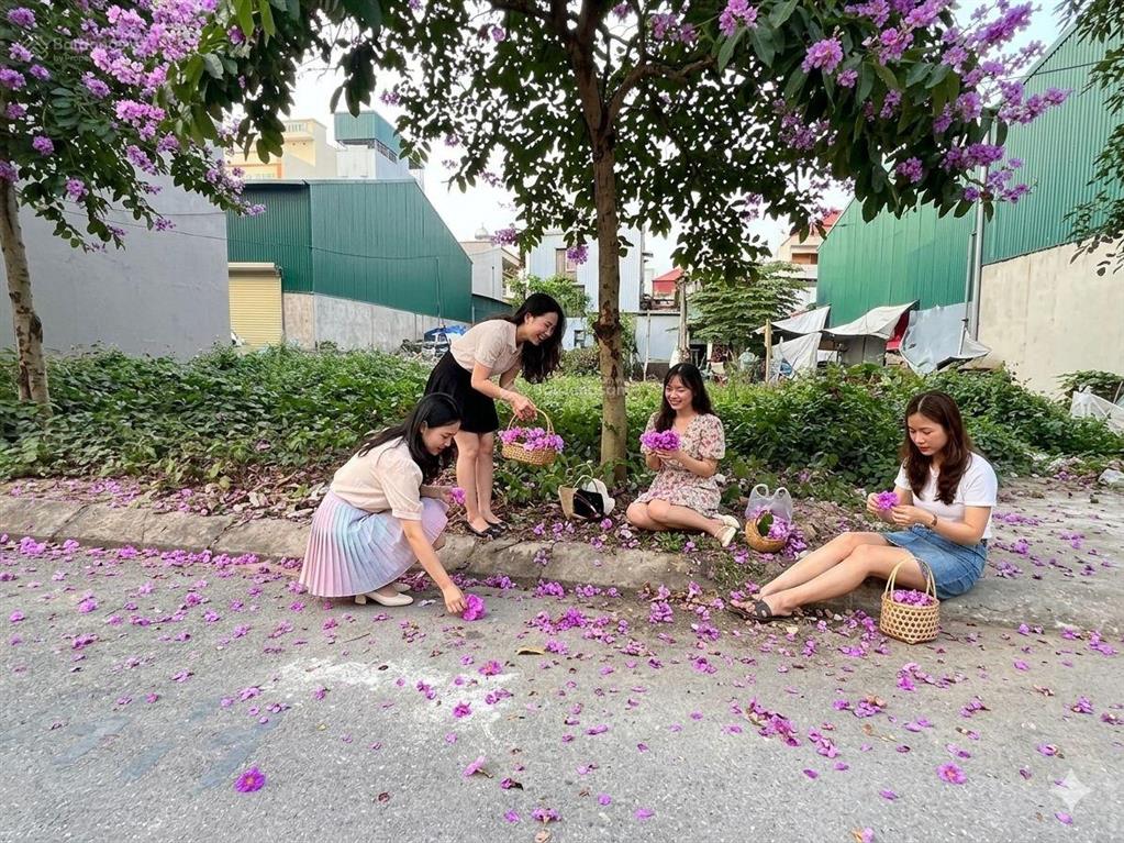 Bán 3 lô đất tđc liên ninh, ngọc hồi dt mỗi lô 30m2, 2 mặt tiền đường rộng 6m, giá 6.55 tỷ/lô