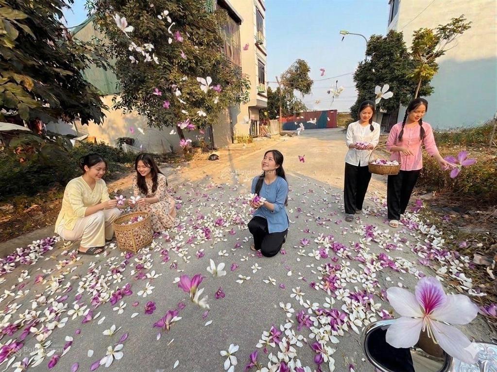 Bán 3 lô đất tđc liên ninh, ngọc hồi dt mỗi lô 30m2, 2 mặt tiền đường rộng 6m, giá 6.55 tỷ/lô