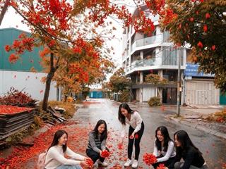 Bán 3 lô đất tđc liên ninh, ngọc hồi dt mỗi lô 30m2, 2 mặt tiền đường rộng 6m, giá 6.55 tỷ/lô