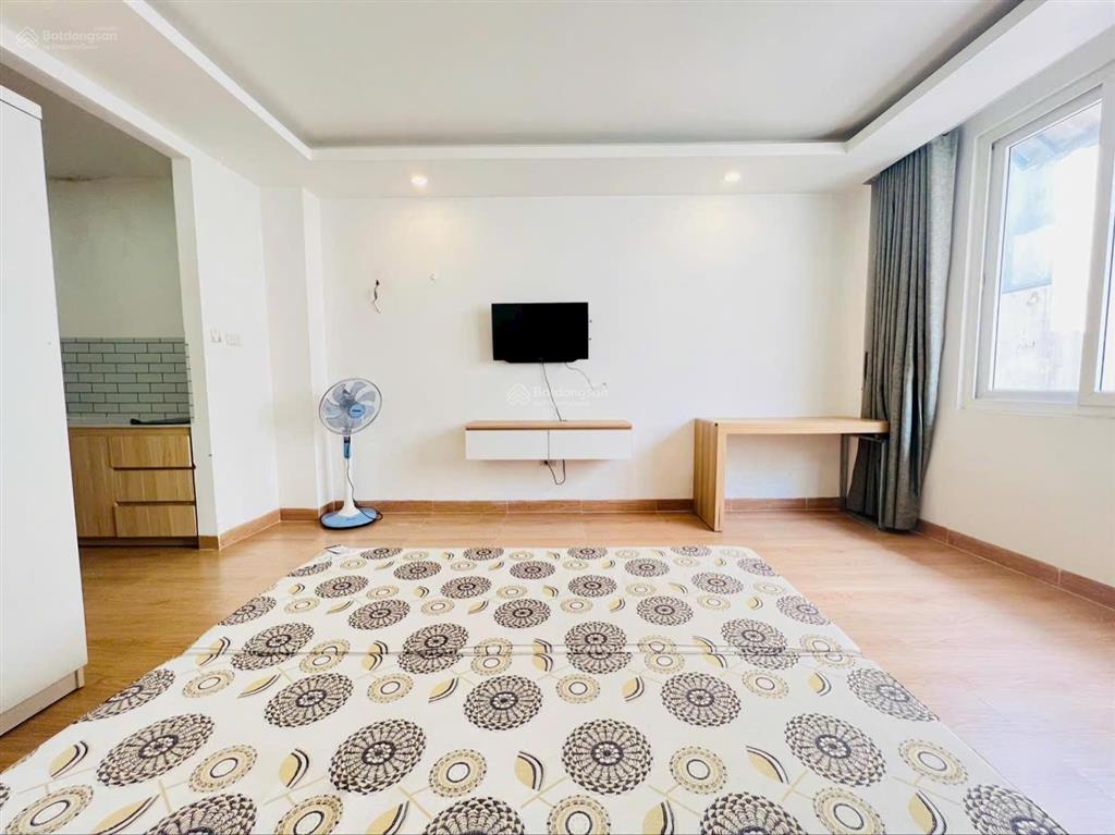 Cho thuê căn hộ studio tách bếp cửa sổ lớn đón nắng thang máy ngay trần hưng đạoq1.  0929 292 ***