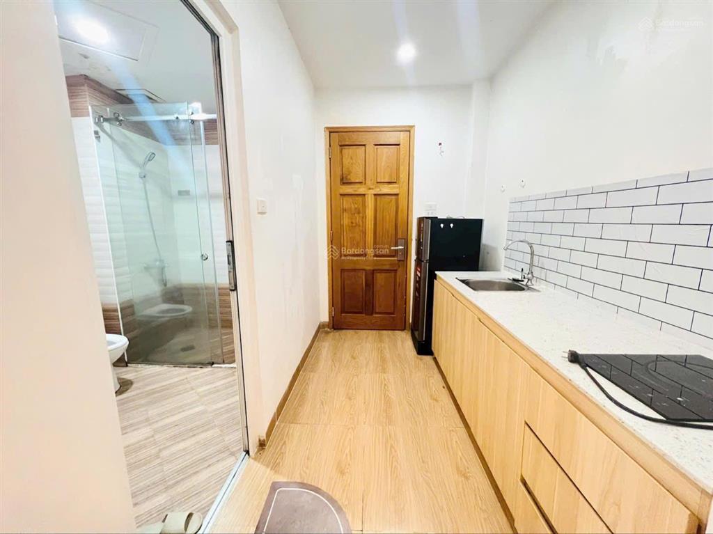 Cho thuê căn hộ studio tách bếp cửa sổ lớn đón nắng thang máy ngay trần hưng đạoq1.  0929 292 ***