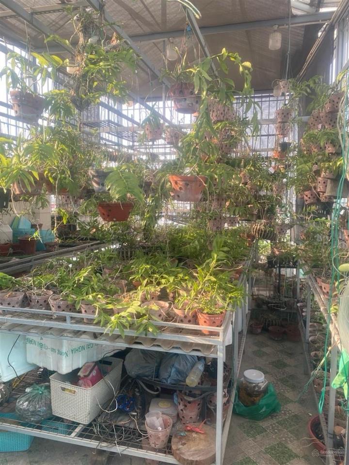 Bán nhà phân lô ô tô đống đa (cũ)  lô góc thang máy  ngõ thông.