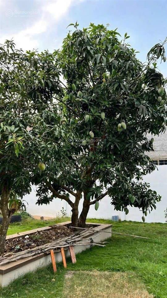 Biệt thự sân vườn, 625m2, căn góc 2mt, 25m x 25m, cách trường canada phú mỹ hưng, chỉ 5 phút