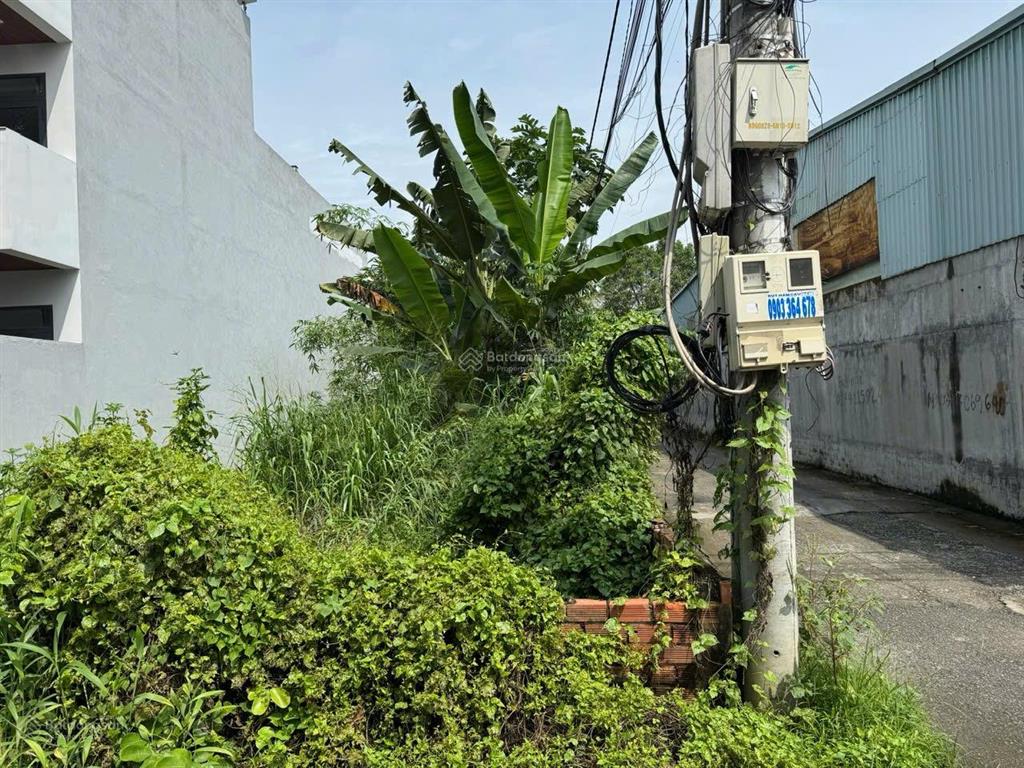 Lô góc 239m2 (8x30m) mặt tiền đường kinh doanh, cách mptv 100m, tiện ích đầy đủ