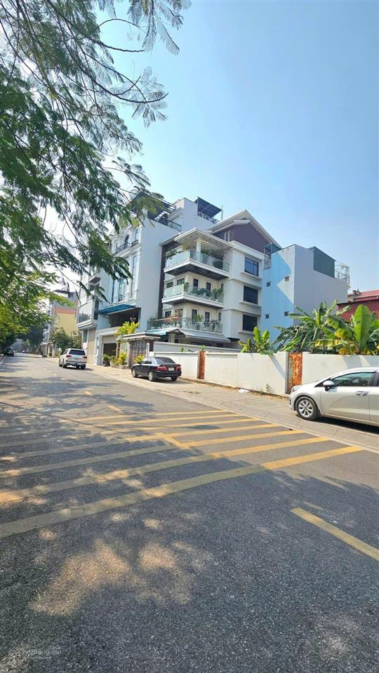 Đất đấu giá đặng vũ hỷ, thượng thanh, long biên. khu vip. dt 112m2. giá 305 triệu/m²