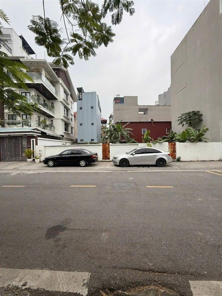 Đất đấu giá đặng vũ hỷ, thượng thanh, long biên. khu vip. dt 112m2. giá 305 triệu/m²