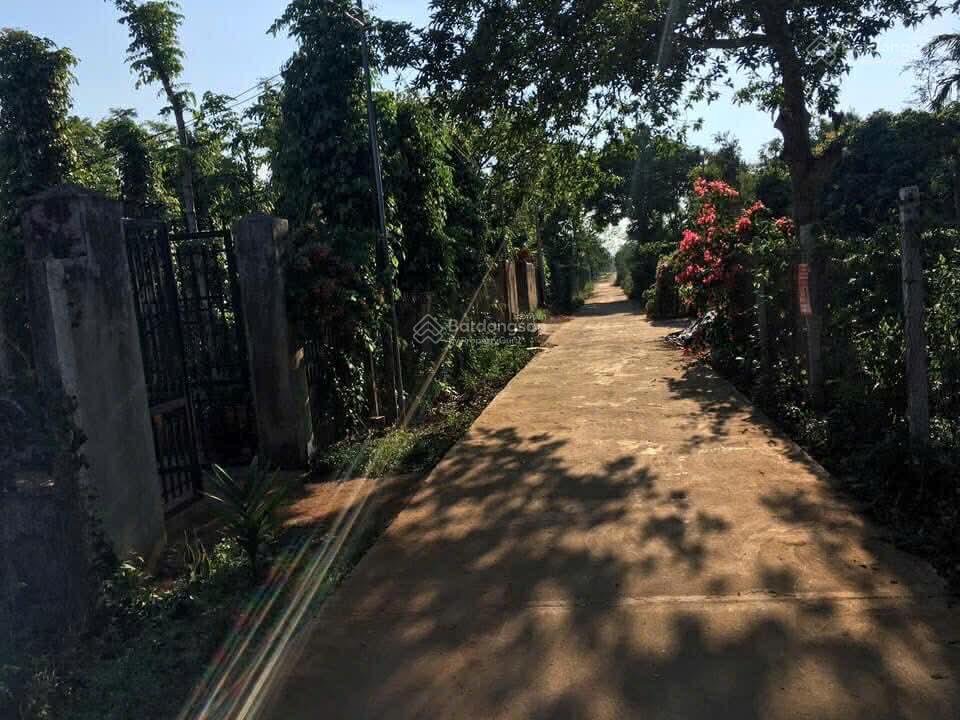 Đất 10x25m mặt tiền đường thông có thổ cư