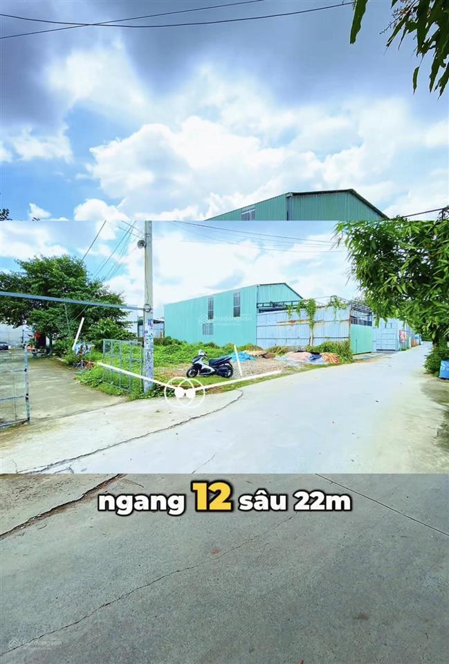 Giảm gấp 2 tỷ đất xây biệt thự 12x22m, 2 mt tl31, gần sông sài gòn quận 12 .chỉ còn 9.9 tỷ 264m2