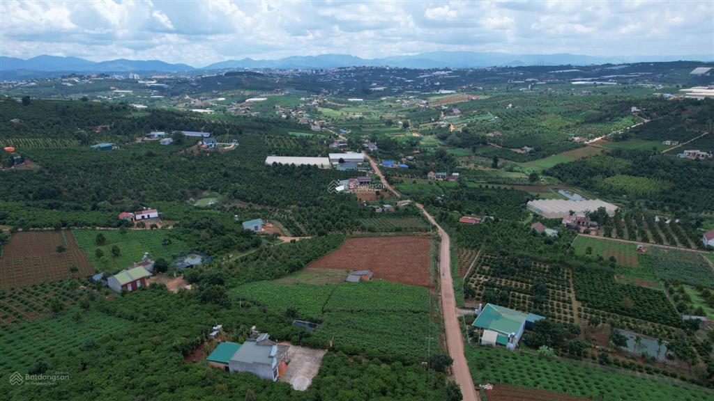720m2 đất gần chợ tân hà lâm hà giá lỗ sấp mặt