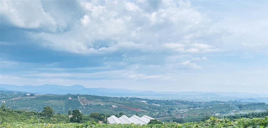 Đất đẹp tân hà lâm hà. đón sóng đức trọng trở thành trung tâm hành chính mới của tỉnh lâm đồng