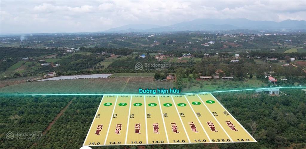 Ngay đức trọng sắp thành trung tâm hành chính có nên mua đất tân hà lúc giá còn mềm?