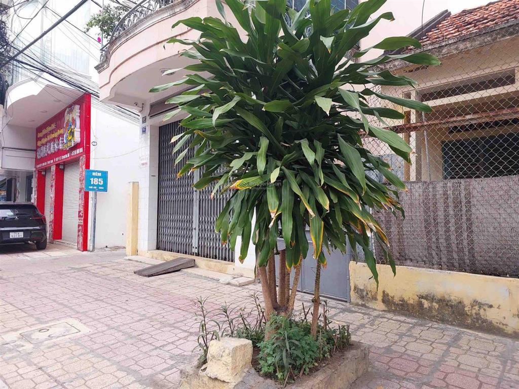 Bán nhà lô góc mặt tiền nguyễn thị minh khai ngang 9,3m. dt 120m2. chỉ 182tr/m2