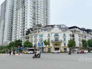 Bán biệt thự lk,minh nhựa mặt phố lâm hạ,hoàng như tiếp.trục chính cầu trần hưng đạo.120m2,giá rẻ.