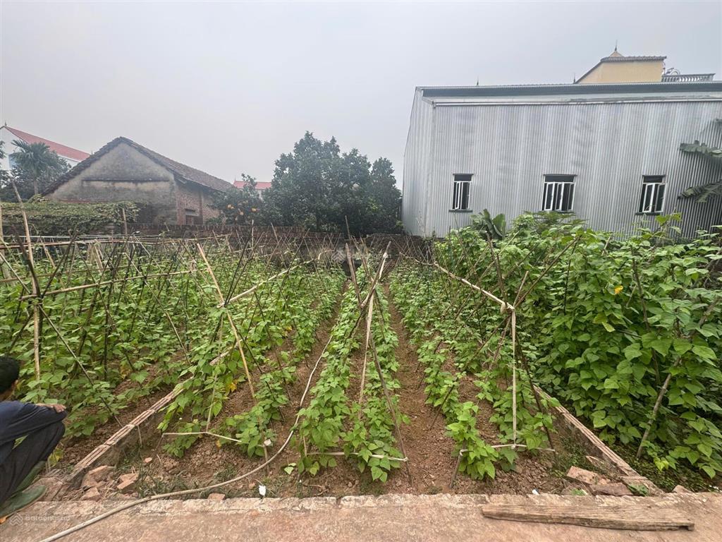 Cần bán lô đất đẹp xã liên minh, hà nội diện tích nhỏ xinh, sát đường tỉnh lộ 417 đang mở rộng