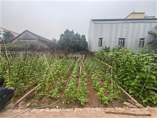 Cần bán lô đất đẹp xã liên minh, hà nội diện tích nhỏ xinh, sát đường tỉnh lộ 417 đang mở rộng