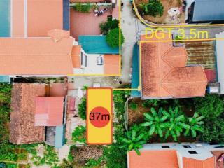 Hàng hiếm còn xót xã thượng mỗđan phượng con đỗ cạnh đất