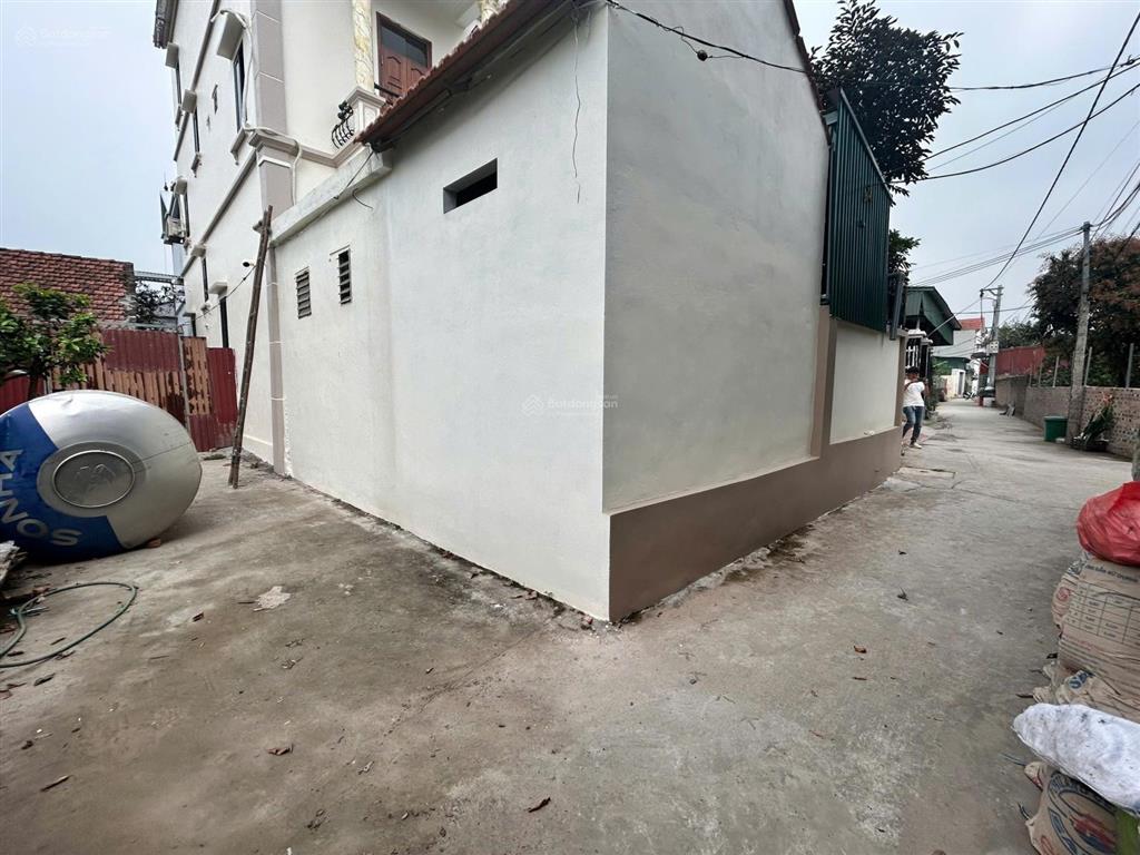 Hàng hiếm còn xót xã thượng mỗđan phượng con đỗ cạnh đất