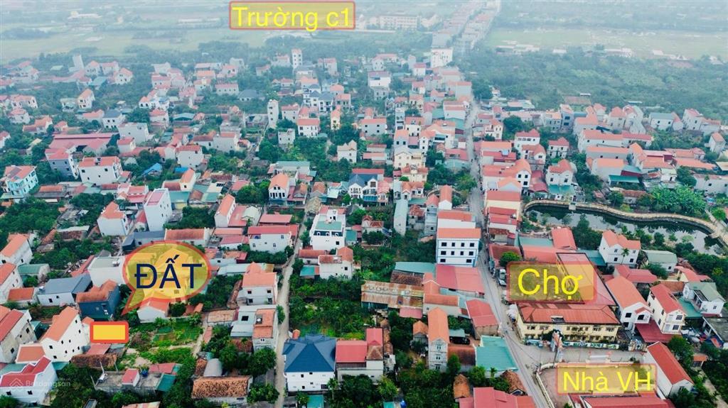 Hàng hiếm còn xót xã thượng mỗđan phượng con đỗ cạnh đất