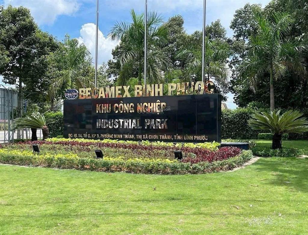 Chủ cần bán nhanh lô đất đường số 13 nha bích ngay quỷ đất kcn becamex chơn thành 370 thông cao tốc