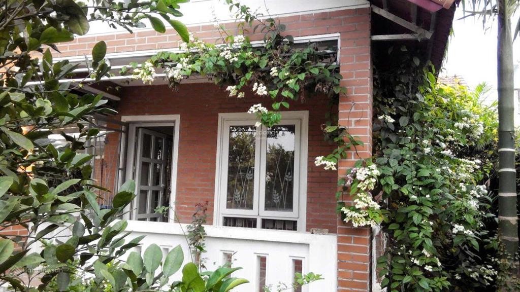 Cho thuê nhà vườn rộng, mát tại tdp độc lập, xuân khôi, 10 triệu, 320m2