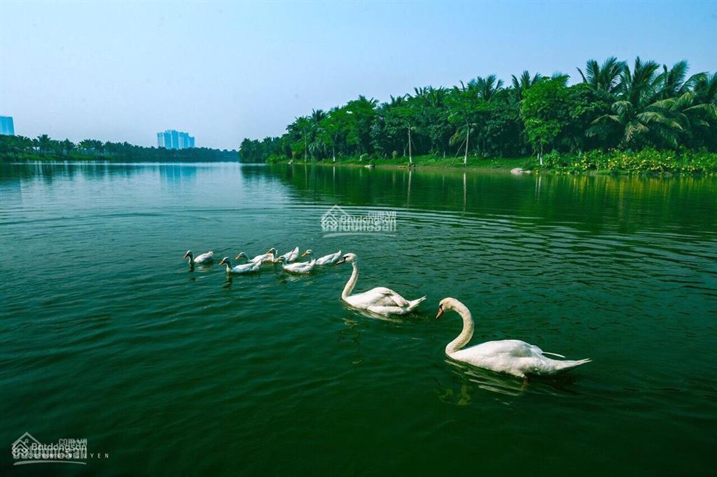 Bán biệt thự đảo , giá cam kết tốt nhất thị trường, view hồ cực thoáng mát , sẵn sổ đỏ giao dịch