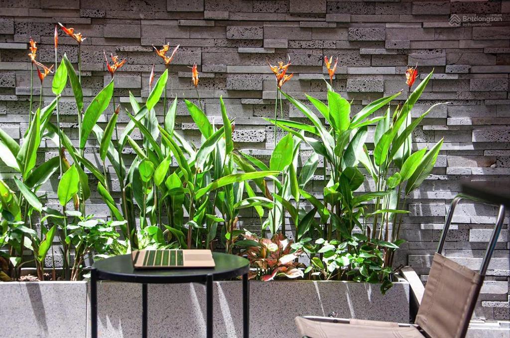 Cho thuê căn cọ xanh hoàn thiện 5 tầng nội thất xịn có thang máy, chỉ việc vào ở.