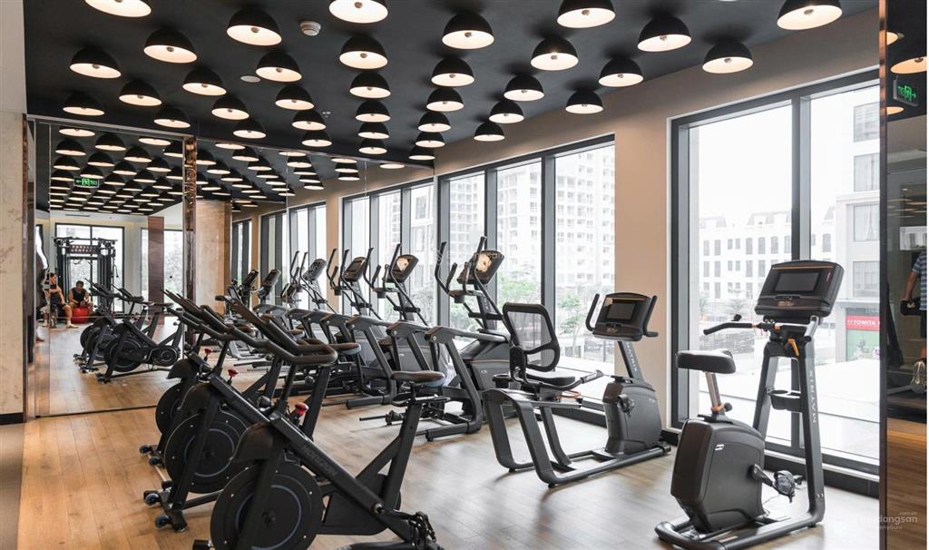 Chính chủ cho thuê căn hộ 1pn+ masteri west heights vinhomes smart city, view hồ, full nội thất