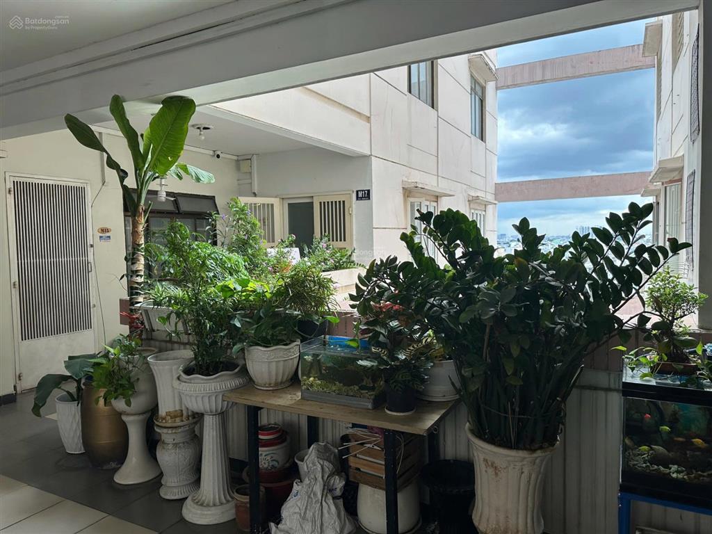 Cần bán căn hộ chung cư p3 q4 95m². giá 5,3 tỷ còn tl