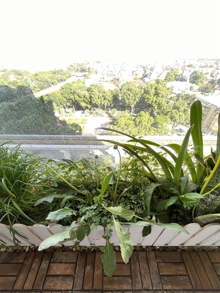 Bán cc 2pn tại tòa tháp thiên niên kỷ, hà đông, 5,5 tỷ, 68m2 hàng hot