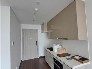 Chính chủ cần bán căn stu+, diện tích 33m2. tòa bmasterise, vinsmart city. view hồ