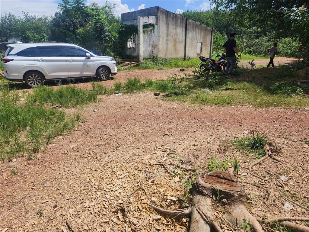Thông báo đấu giá tài sản công ty đấu giá hợp danh lam sơn sài gòn