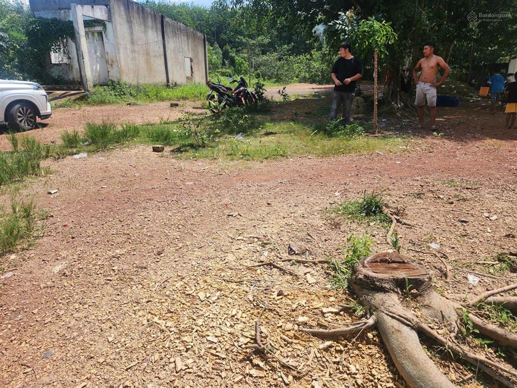 Thông báo đấu giá tài sản công ty đấu giá hợp danh lam sơn sài gòn