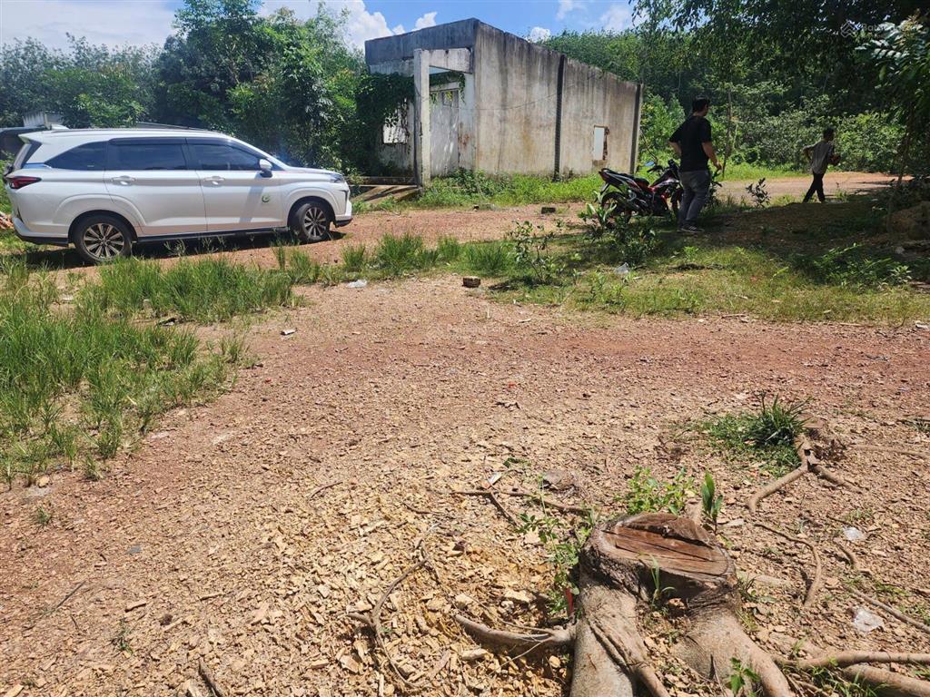 Thông báo đấu giá tài sản công ty đấu giá hợp danh lam sơn sài gòn