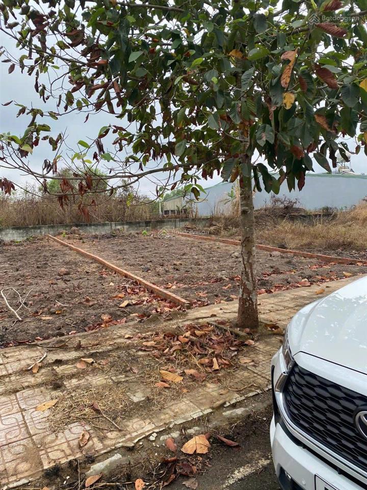 Thông báo đấu giá tài sản công ty đấu giá hợp danh lam sơn sài gòn
