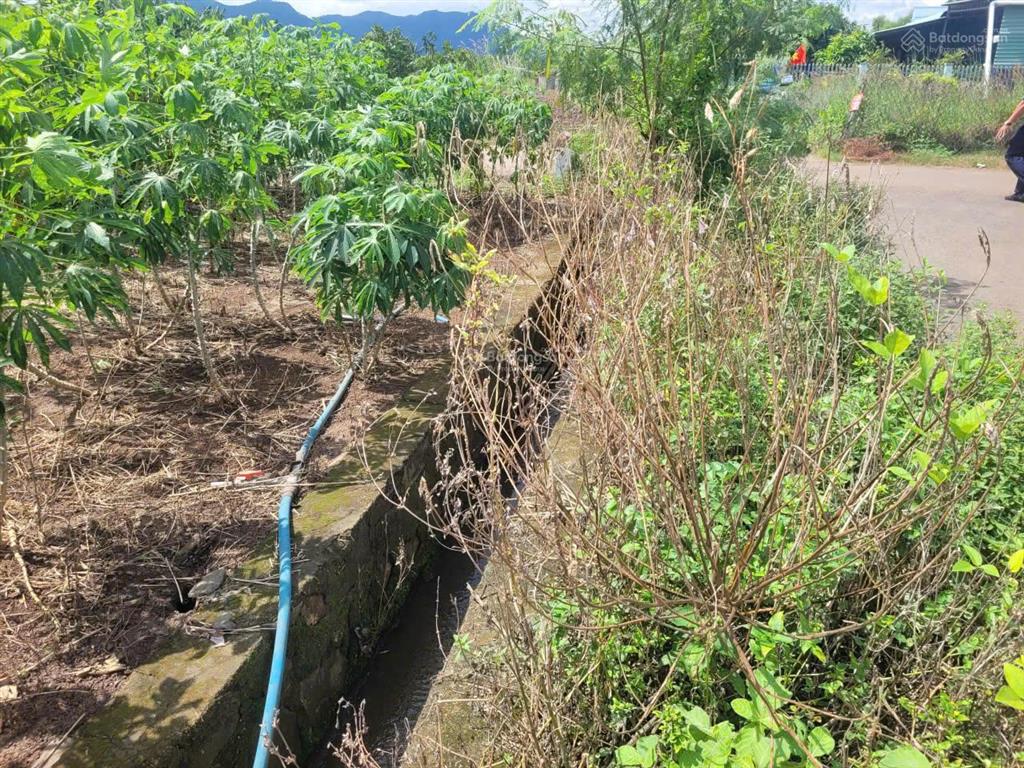 Thông báo đấu giá tài sản công ty đấu giá hợp danh lam sơn sài gòn
